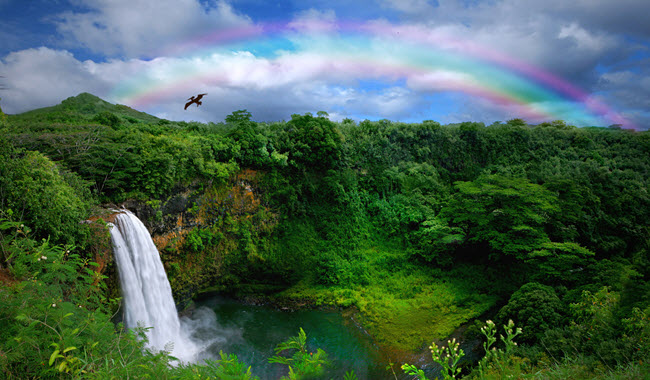 Kauai Waterfall With Rainbow.