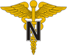 Army Medical Nurse collar brass.