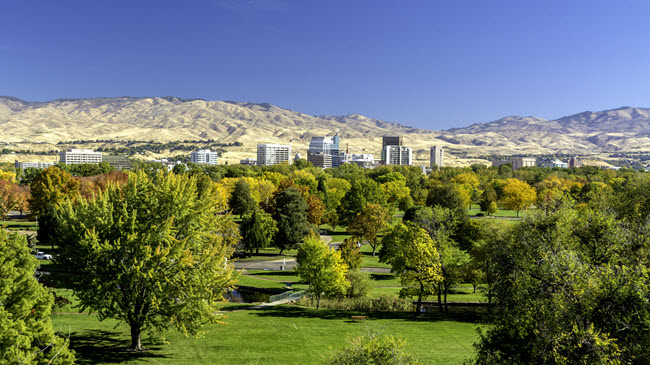 City of Trees.