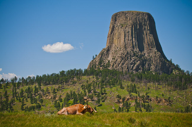 Devil's Tower.