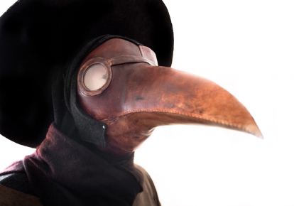 Medieval Bird Mask.