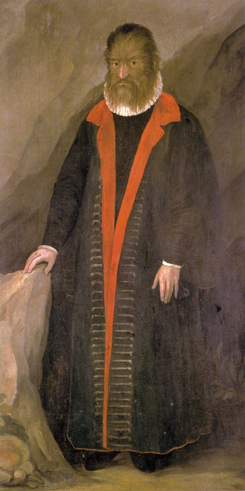 Petrus Gonsalvus.