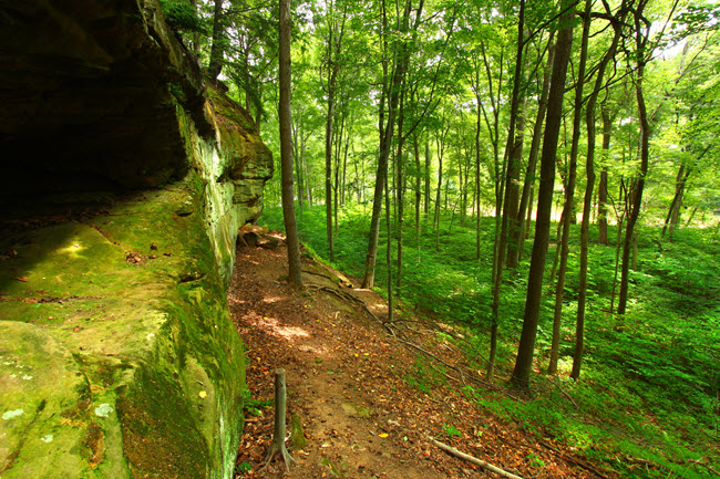 Turkey Run State Park.